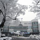 미미여행사 이미지