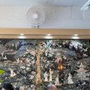 참설렁탕 이미지