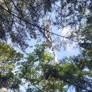 구봉산 도등 이미지