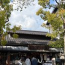 버스터미널4거리 털보의류 | 일본 후쿠오카 3박4일 여행 일정 유후인 버스투어 맛집 쇼핑