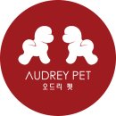 오드리펫 | ☆ 오드리펫 아카데미의 찐 후기 모음 ☆