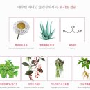 포피엠 이미지