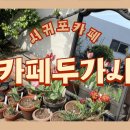 카페두가시