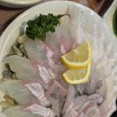 푸른초장어린이집 | 전주시 신시가지 푸른수산 – 광어·우럭 모둠회