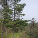 평창 노산성 | 노성산 || 평창힐링 체험파크 노성산 산책