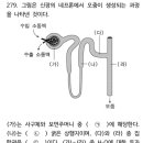 수출소동맥 동맥혈 이미지