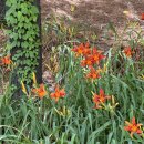 반도산전(주) 이미지