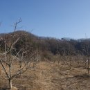 쇠실농장 이미지