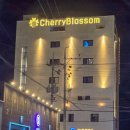 호텔체리블러썸 이미지