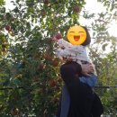 일미농원 이미지