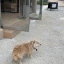 유목 | 포항 구룡포 오션뷰 펜션 스테이유목 O동 후기