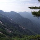 강성주복싱 칠금점 이미지