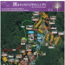 숲속의 쉼터 이미지