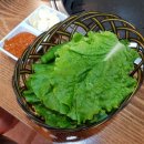 흑돼지 한마리 이미지