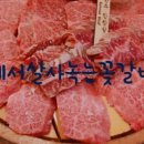 참맛있는 참한우 이미지