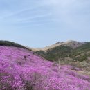 호텔74st. | 구룡산~관룡산~화왕산 연계산행 :: 입산통제 구역 그리고 참꽃