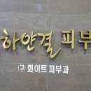 하얀결피부과의원 티스토리