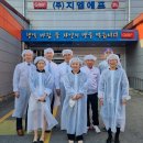 일조유통 이미지