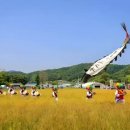 밀밭 - 남양주시 강변북로632번길 41-10 | 밀밭