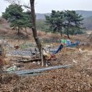 초막농장 이미지