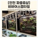펫버닝(201호,202호) | 비바리움/동춘동파충류샵] 비바리움까지 완벽했던 ‘비바어스렙타일’, 첫 크레스티드 게코 입양 후기 👍
