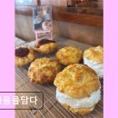 마음을 담다 애견샵 | 부산 에그타르트 휘낭시에 샵마음을담다 부산의 맛을 담은 카페