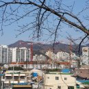 동일미래과학고등학교 운동장 이미지