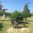 출토96 소나무 이미지