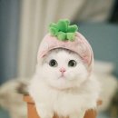 원테크 이미지