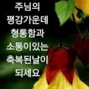 교회력의 기초인 ‘주일’(주님의 날)에 대한 연구 이미지
