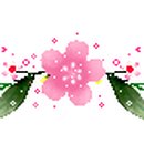 헵시바(HEPBSIBAH) 이미지