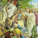 사케오니 이미지