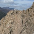 김성수행정사 이미지