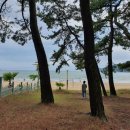 어우림(주) 이미지