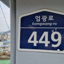 부산진구 엄광로449에서 (2022.3.20) 이미지