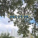 늘솔길근린공원 이미지