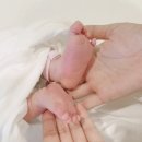 포스피탈 림 산후조리원 이미지