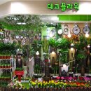 플러스화원