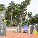 오토캠핑장 이미지