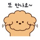 펫조아강아지조아
