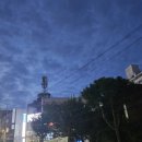 남천1-213 이미지