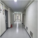 사파동286 이미지