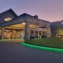 지박사막국수(무실점) 이미지