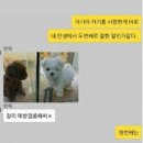 현실 네이버블로그