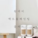 빈느팔레트
