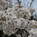 해뜸어린이집 이미지