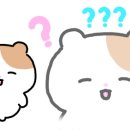 부자슈퍼 이미지