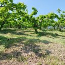 인선농장 이미지