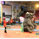 점보빌리지 이미지