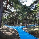 조산공원길 이미지